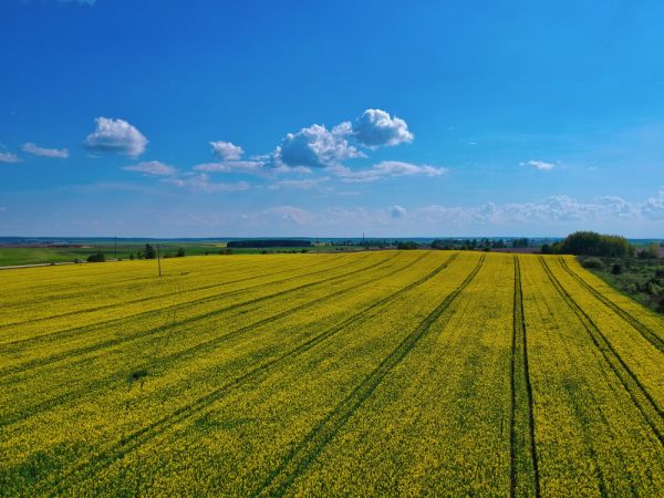Фермерське господарство,  4272Га, Рівненщина