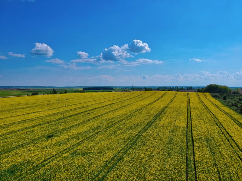 Фермерське господарство,  4272Га, Рівненщина
