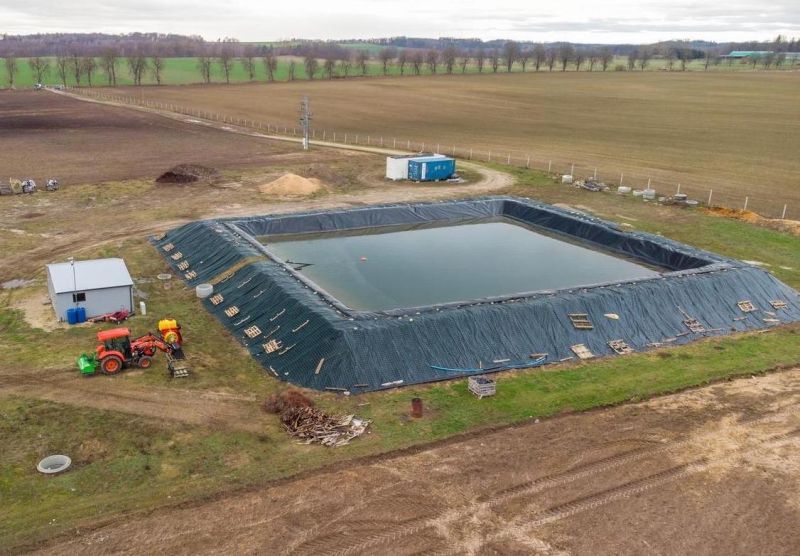 Фермерське господарство(лохина), 50га, Польща