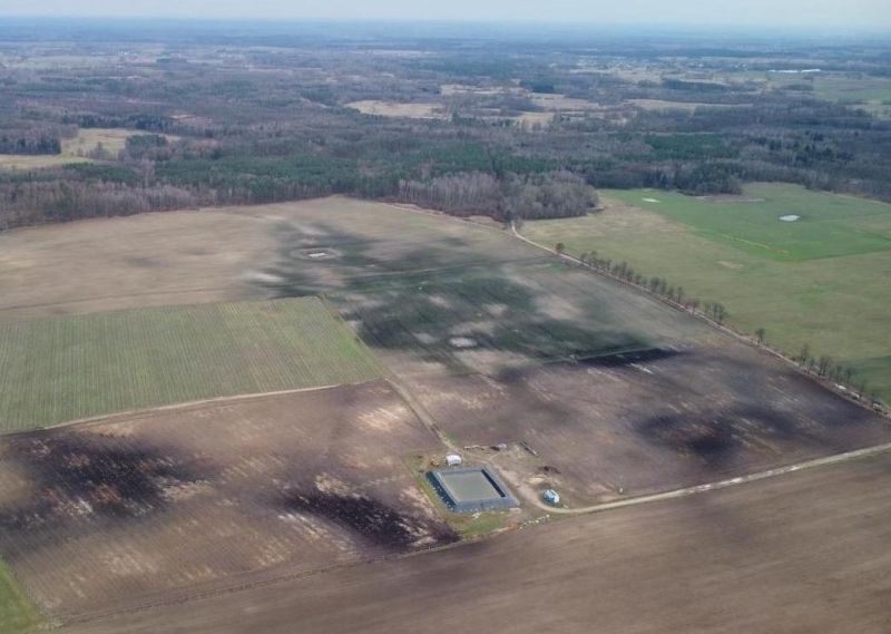 Фермерське господарство(лохина), 50га, Польща