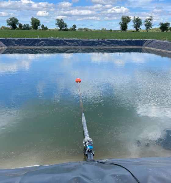 Фермерське господарство(лохина), 50га, Польща