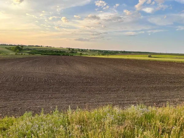 Фермерське господарство, 1850Га, Одеська область