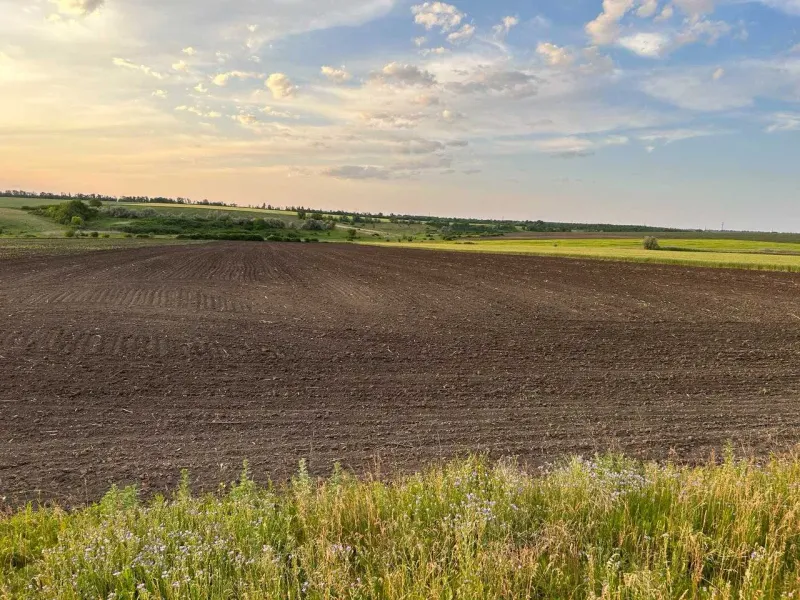 Фермерське господарство, 1850Га, Одеська область