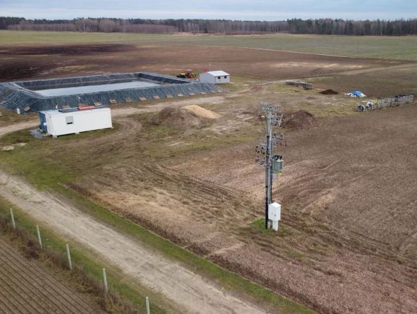 Фермерське господарство(лохина), 50га, Польща