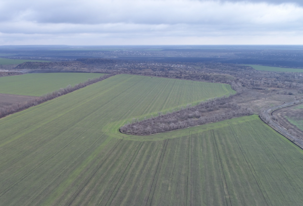 Агропідприємство, 2000Га, Полтавська область