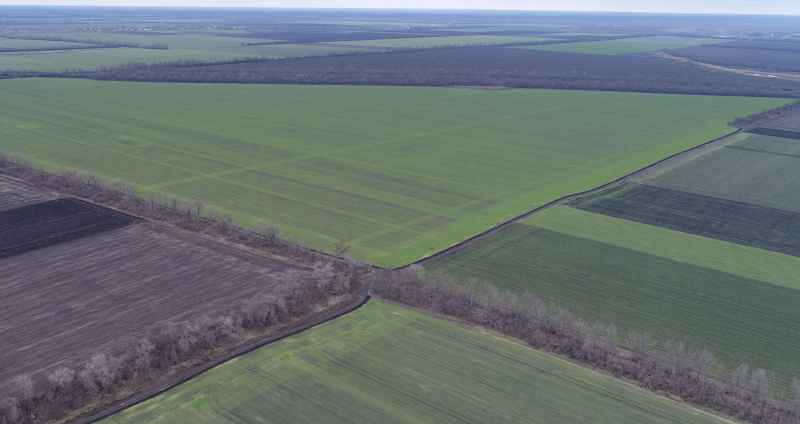 Агропідприємство, 2000Га, Полтавська область