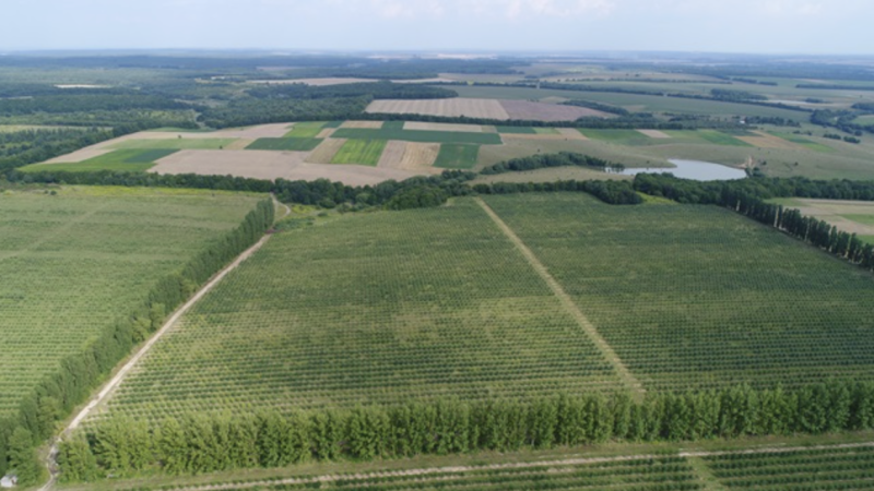 Садове господарство(яблуневе), 740Га, Вінницька область