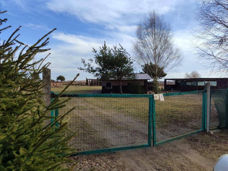 Плантація лохини, 14Га, Волинь