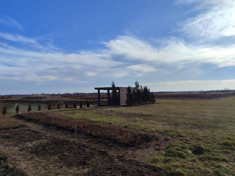 Плантація лохини, 14Га, Волинь