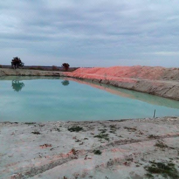 Плантація лохини, 14Га, Волинь