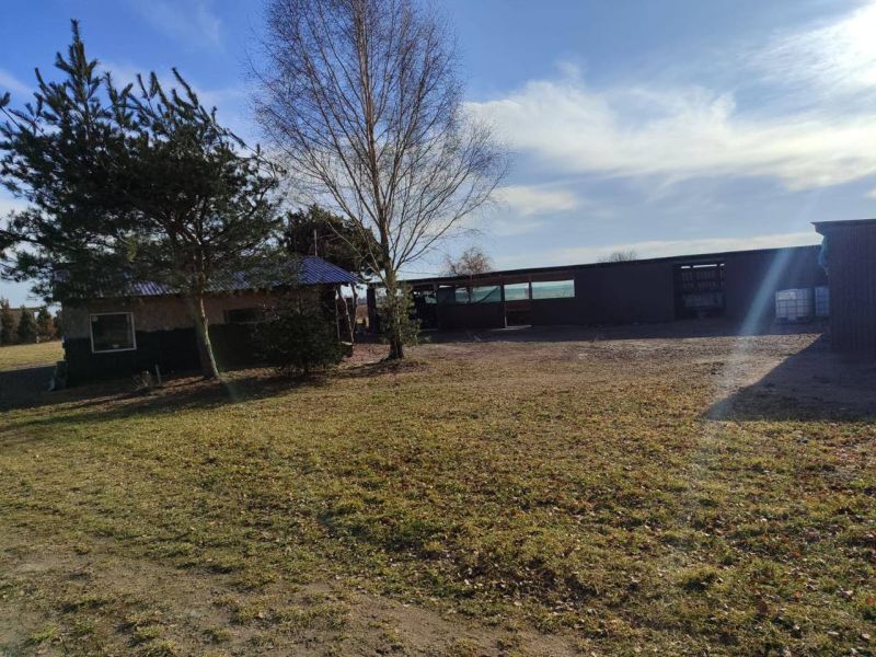 Плантація лохини, 14Га, Волинь