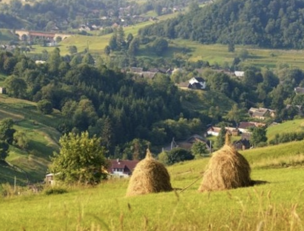 Фермерське господарство, 5Га, Закарпаття