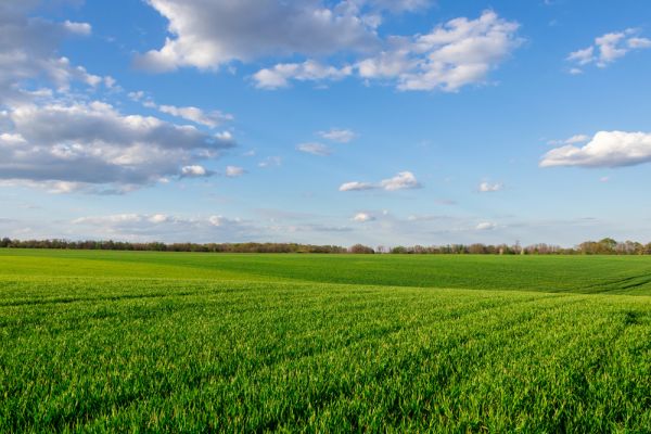 Фермерське господарство, 1000Га, Дніпропетровська область