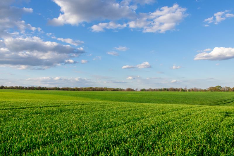 Фермерське господарство, 1000Га, Дніпропетровська область
