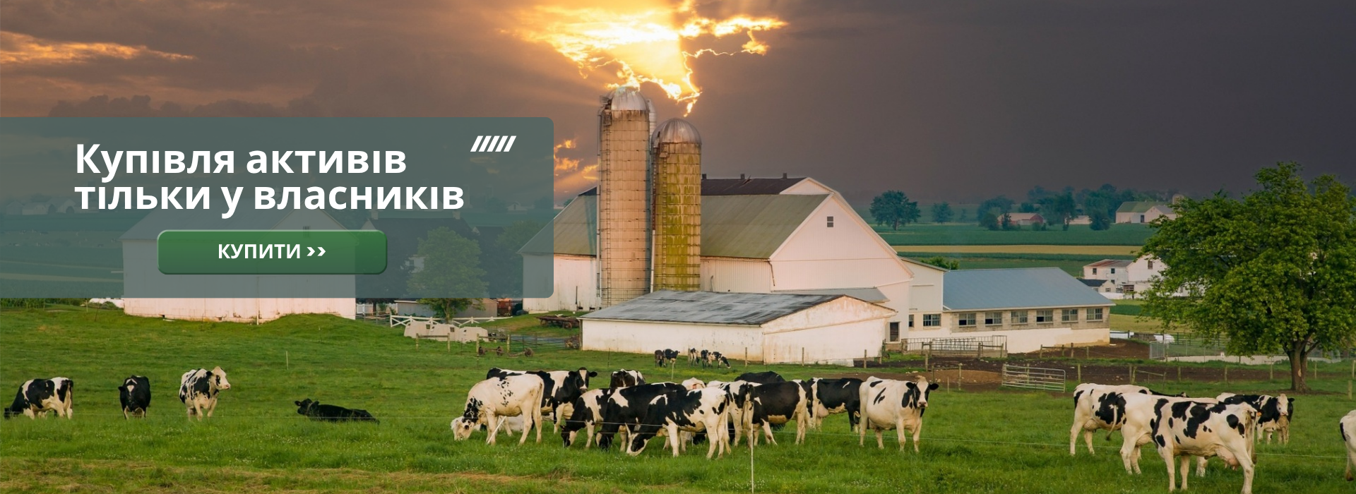 Купівля активів тільки у власників